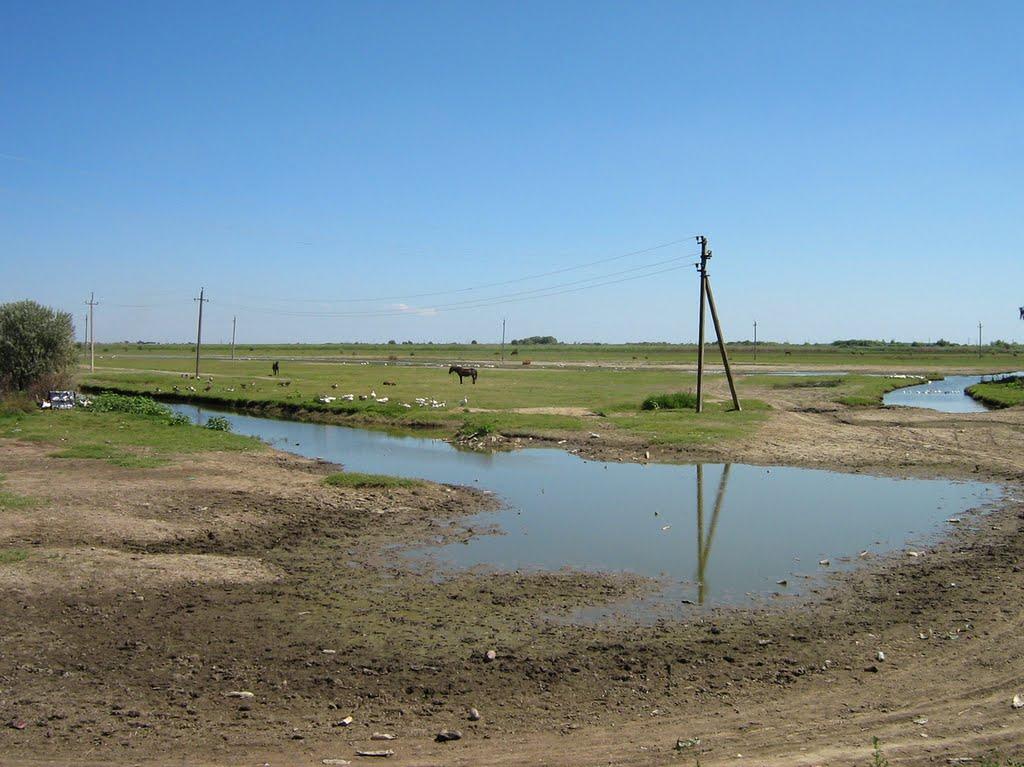 Орлівка з panoramio.com - Orlivka