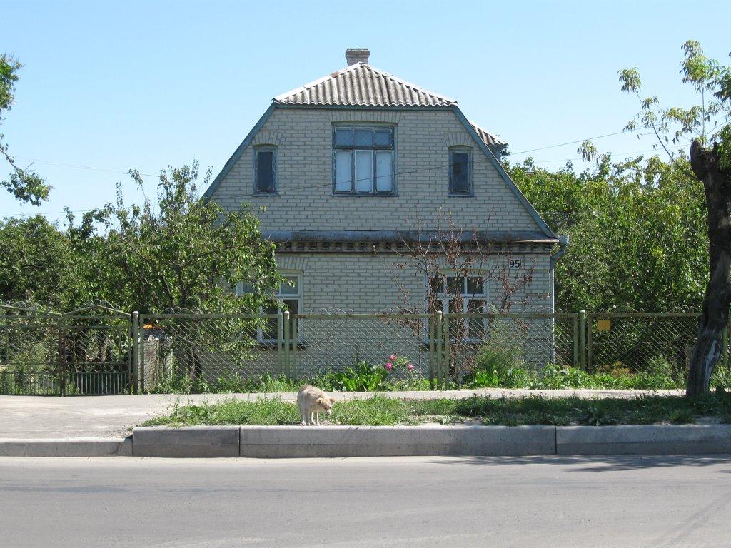 Ковель з panoramio.com (ч.2) - Ковель