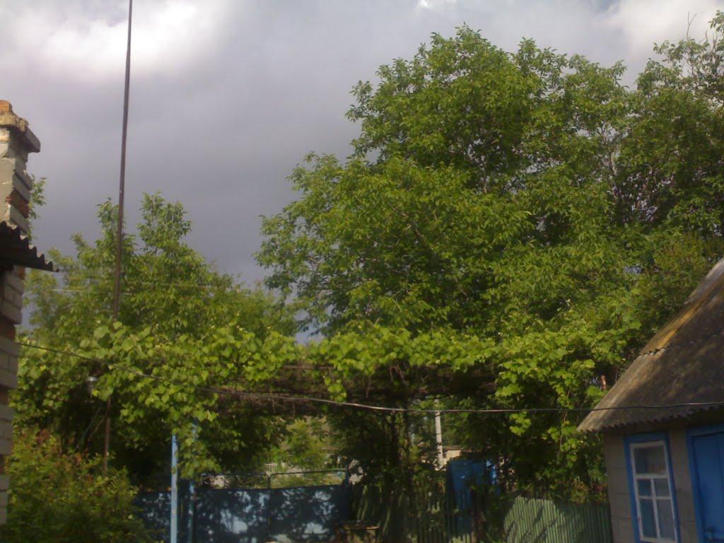 Приморське з panoramio.com - Приморское