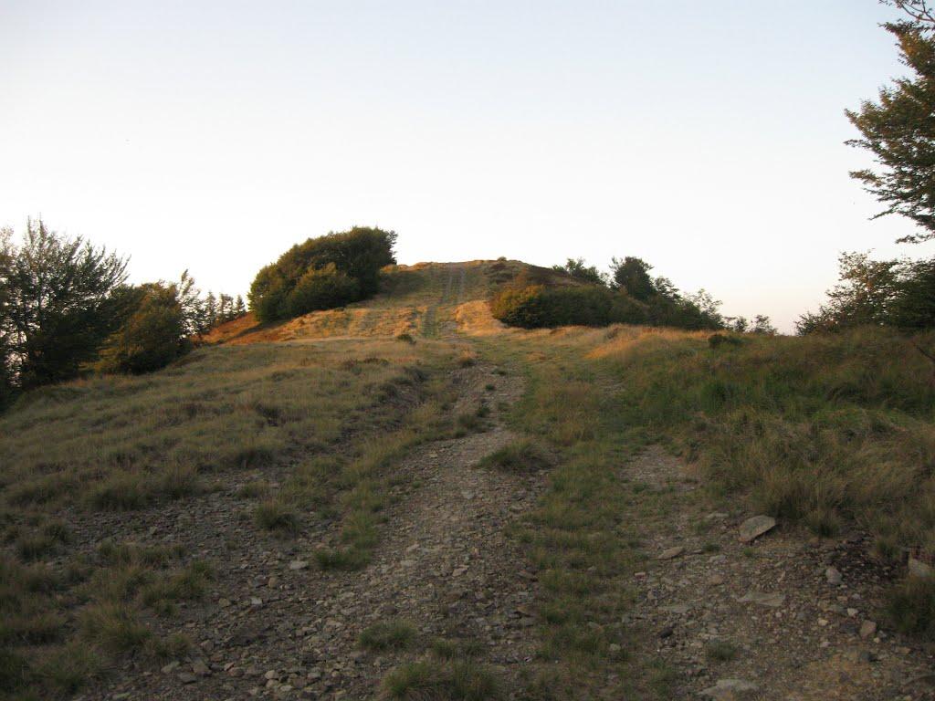 Усть-Чорна з panoramio.com - Усть-Чорна