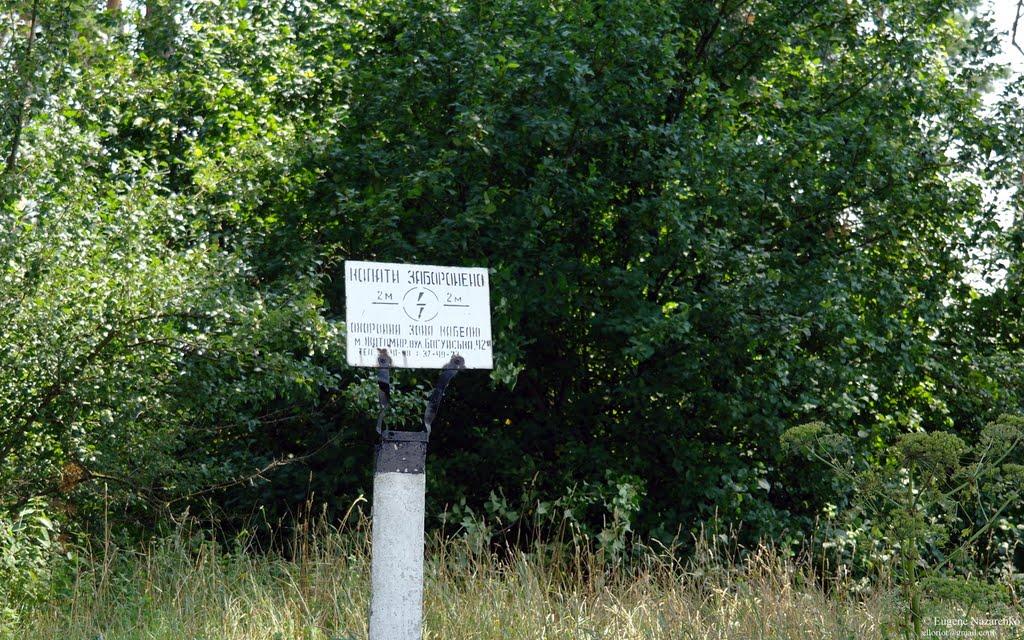 Кам'янка з panoramio.com - Кам'янка