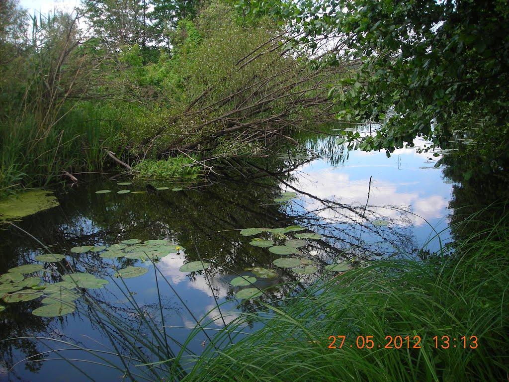 Рокитне з panoramio.com - Рокитне