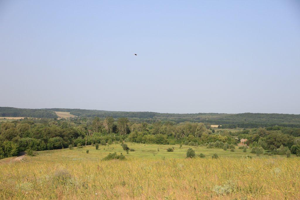 Холодне з panoramio.com - Холодне