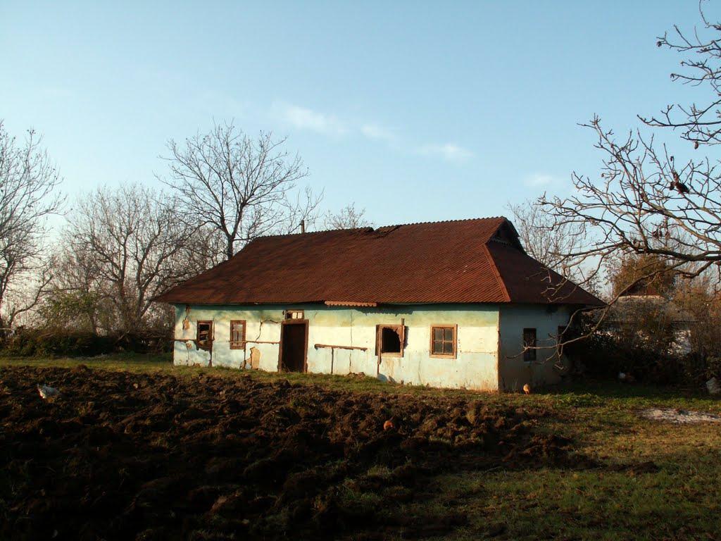 Крикливець з panoramio.com - Крикливець