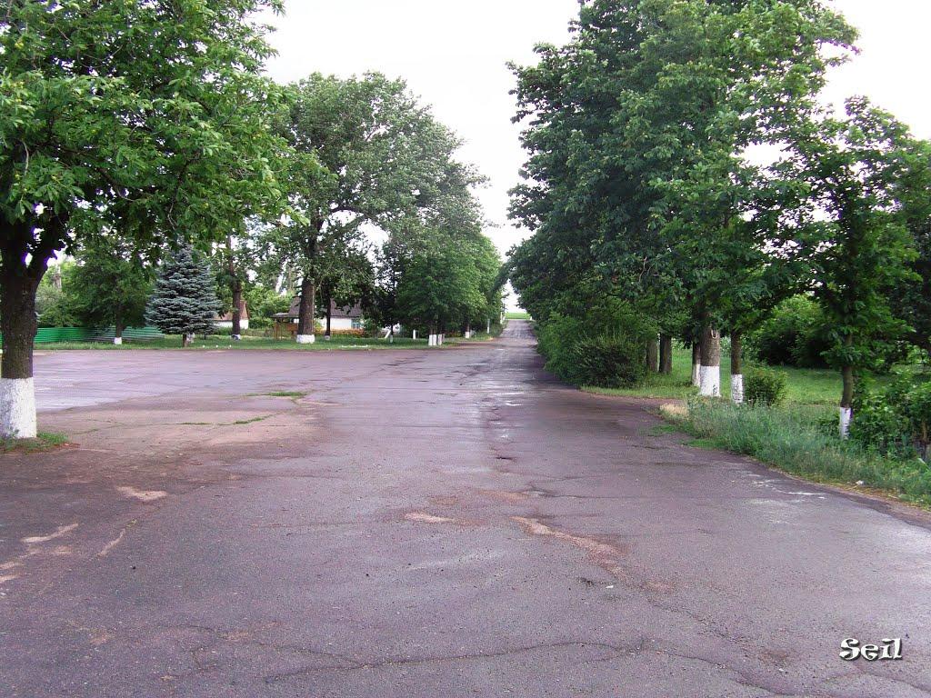 Орли з panoramio.com - Орлы