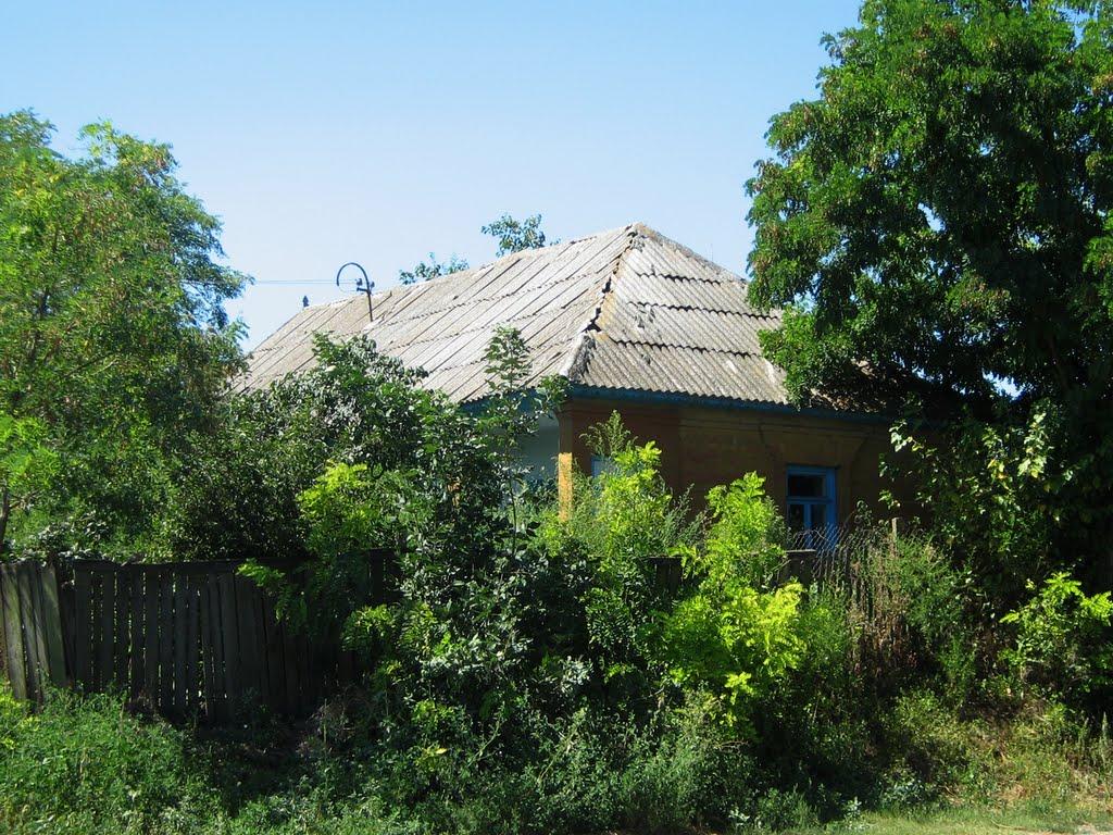 Орлівка з panoramio.com - Orlivka
