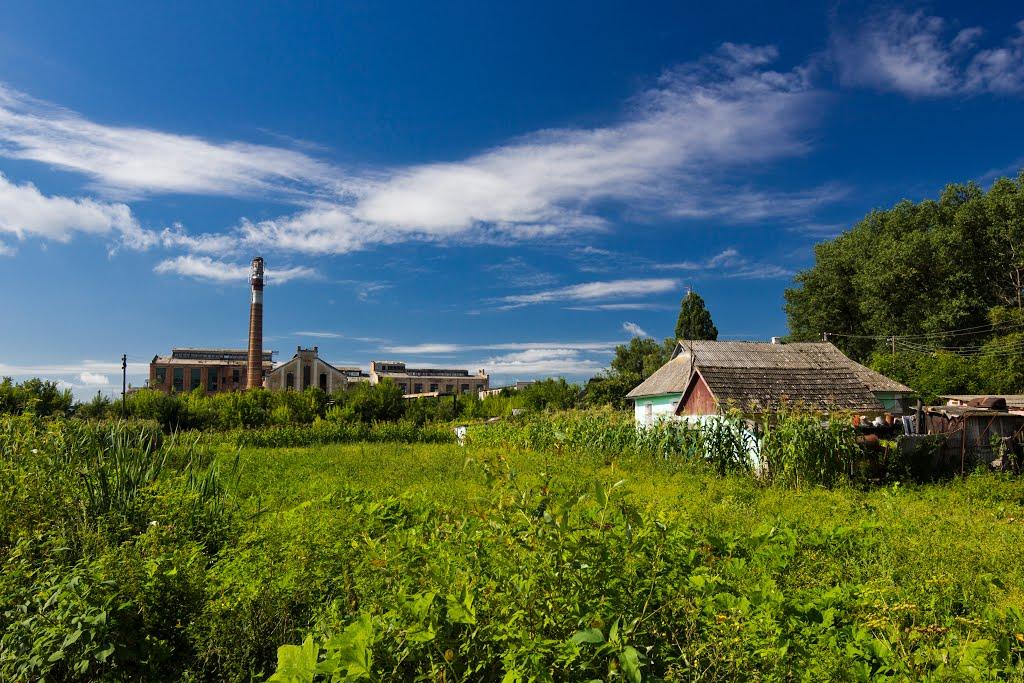 Уладівка з panoramio.com - Уладовка