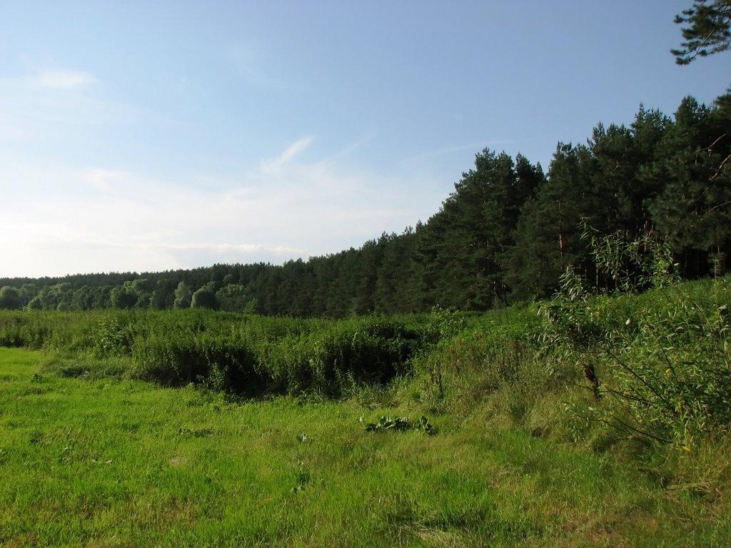 Шестовиця з panoramio.com - Шестовица