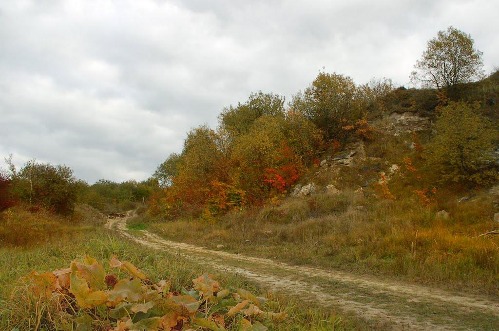 Підбір'я з panoramio.com - Pidbirya