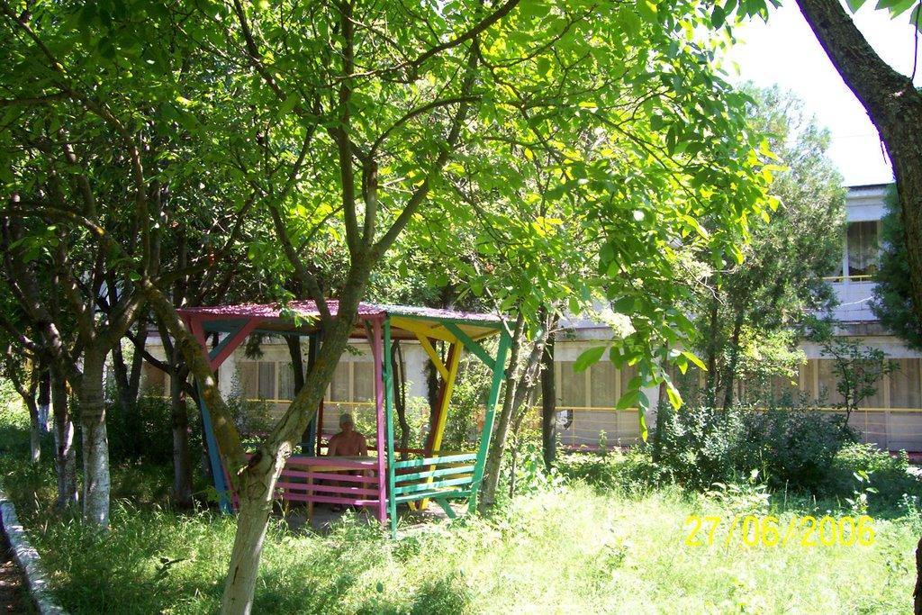 Лебедівка з panoramio.com - Лебедевка