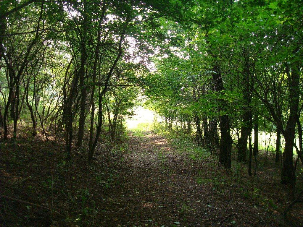 Маціорськ з panoramio.com - Маціорськ