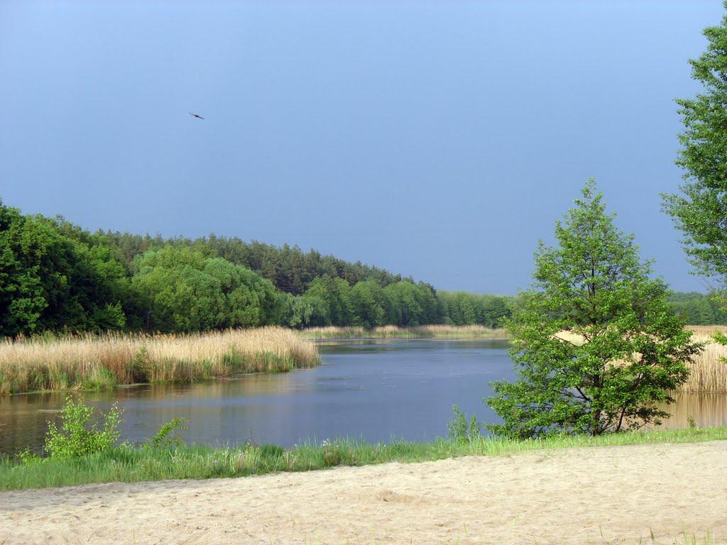 Куликове з panoramio.com - Куликове