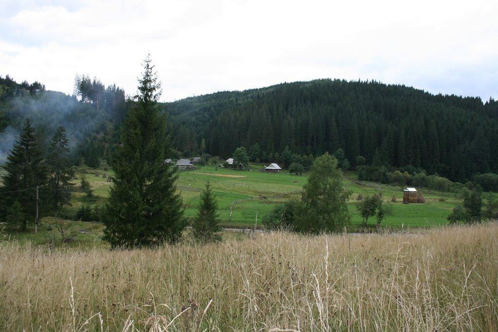 Осмолода з panoramio.com (ч.2) - Осмолода