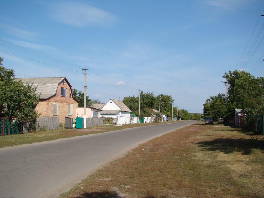 Тимошівка з panoramio.com - Тимошівка