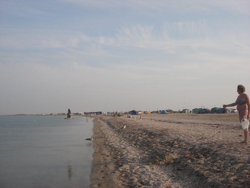 Аврора з panoramio.com - Аврора