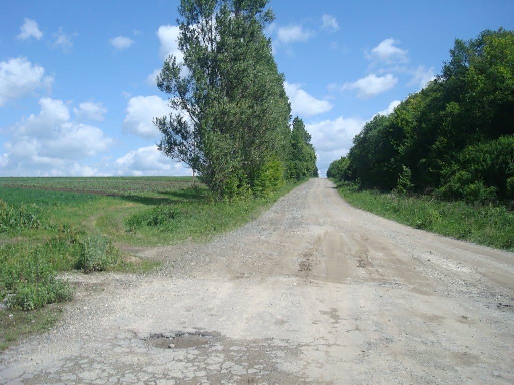 Давидківці з panoramio.com - Давидківці