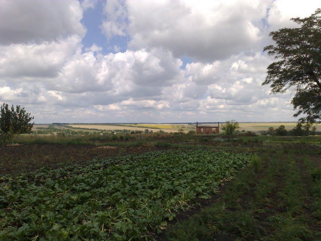 Вершина Друга з panoramio.com - Вершина Друга