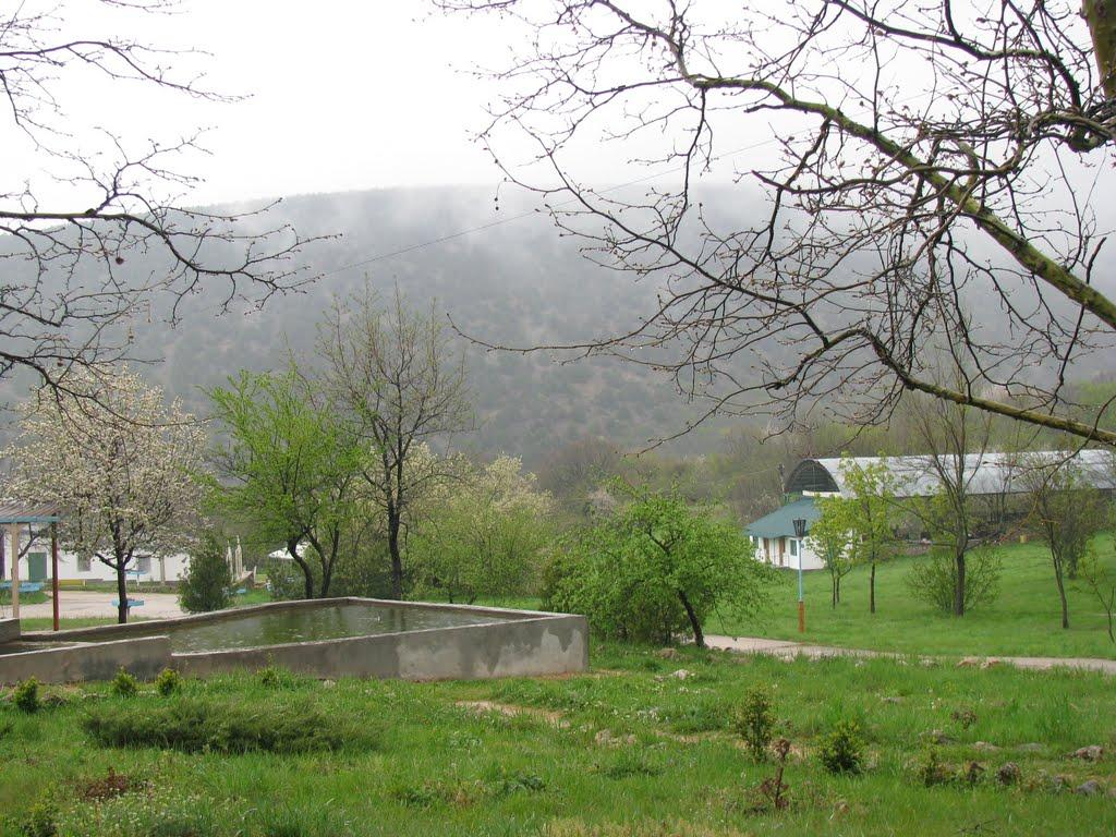Колхозне з panoramio.com - Колхозное