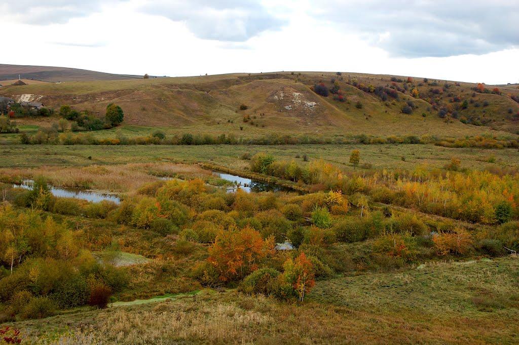 Підбір'я з panoramio.com - Підбір'я