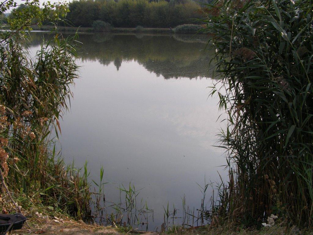 Лузанівка з panoramio.com - Лузановка