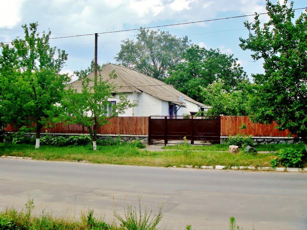 Звенигородка з panoramio.com - Звенигородка