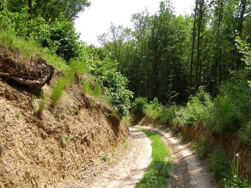 Жаботин з panoramio.com - Жаботин