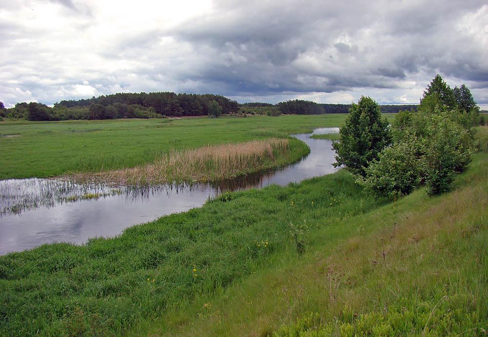 Дубина з panoramio.com - Дубина