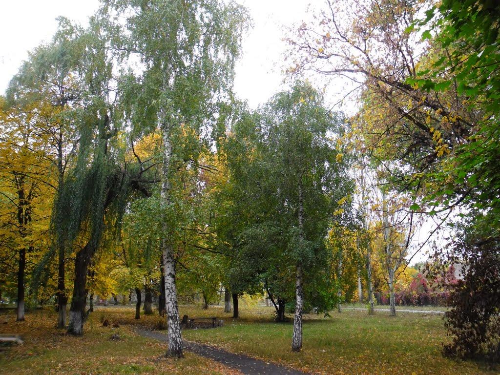 Сніжне з panoramio.com - Снежное