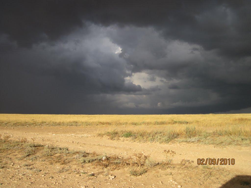 Маяк з panoramio.com - Маяк