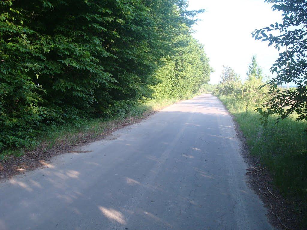 Ставчани з panoramio.com - Ставчаны