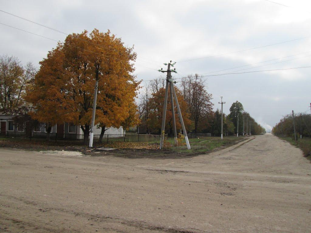 Олексіївка з panoramio.com - Олексіївка