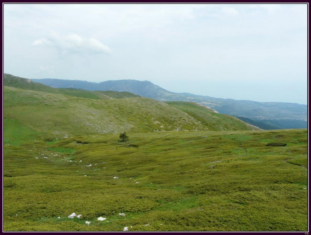 Розовий з panoramio.com (ч.2) - Розовий