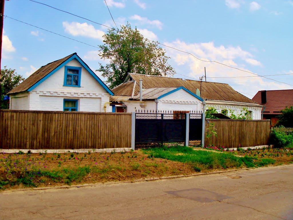 Звенигородка з panoramio.com - Zvenigorodka