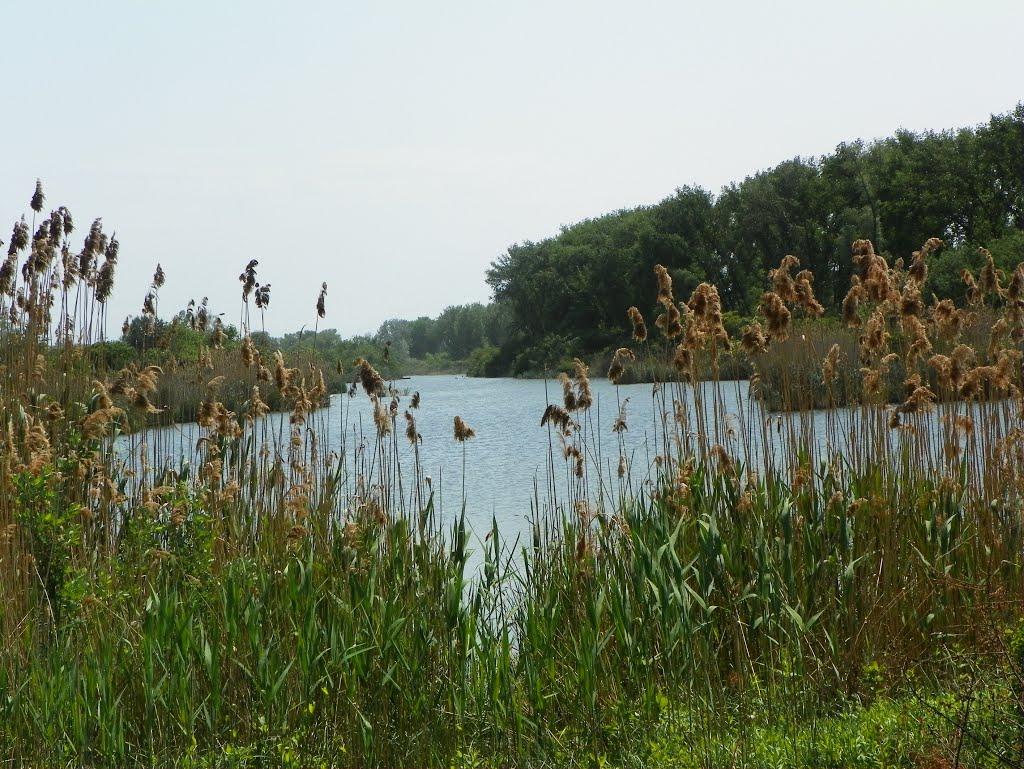 Чапаєвка з panoramio.com - Чапаєвка