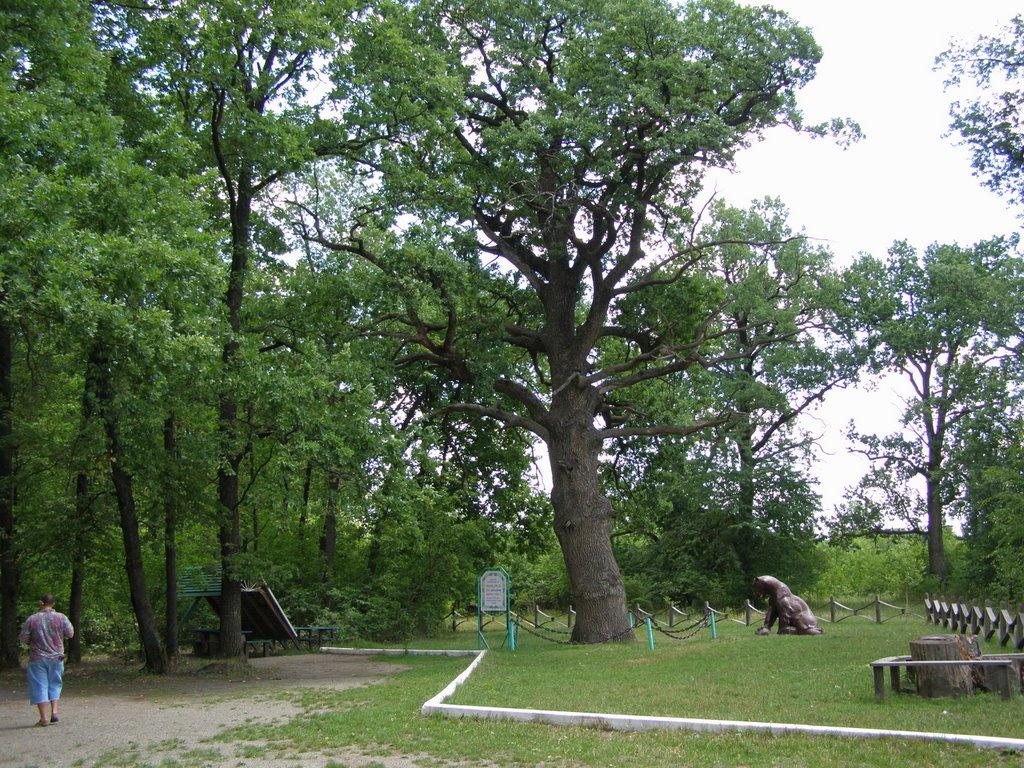 Слюсареве з panoramio.com - Слюсареве