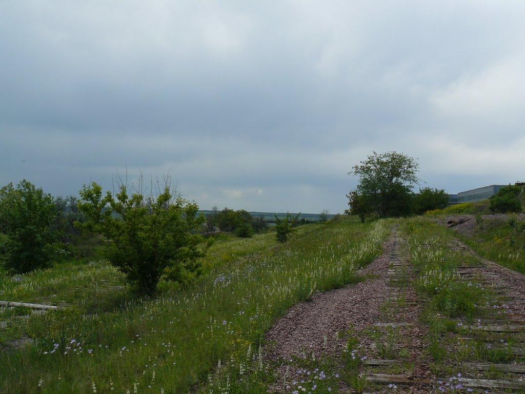 Степногірськ з panoramio.com - Степногорск