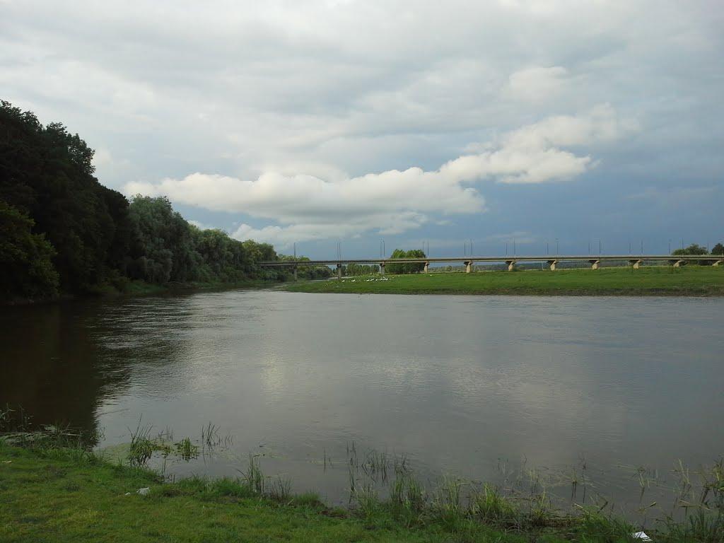 Степань з panoramio.com - Степань