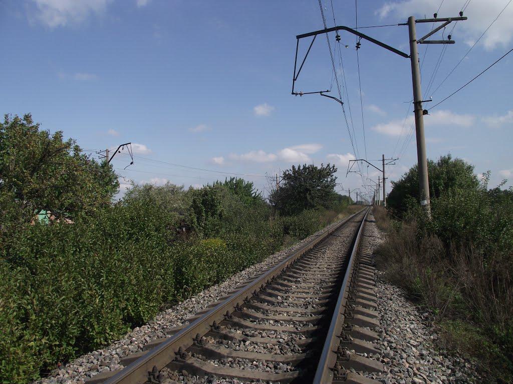 Новокалинове з panoramio.com - Новокалинове