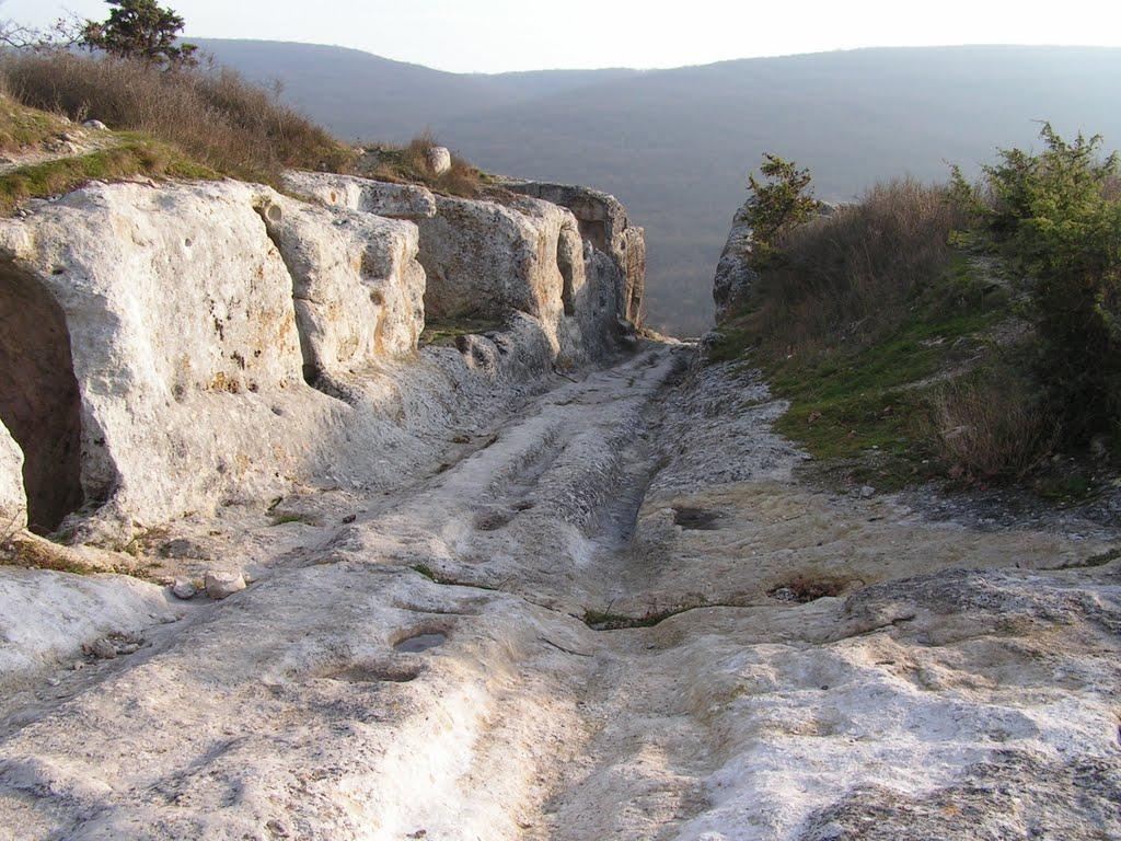 Красний Мак з panoramio.com - Красный Мак
