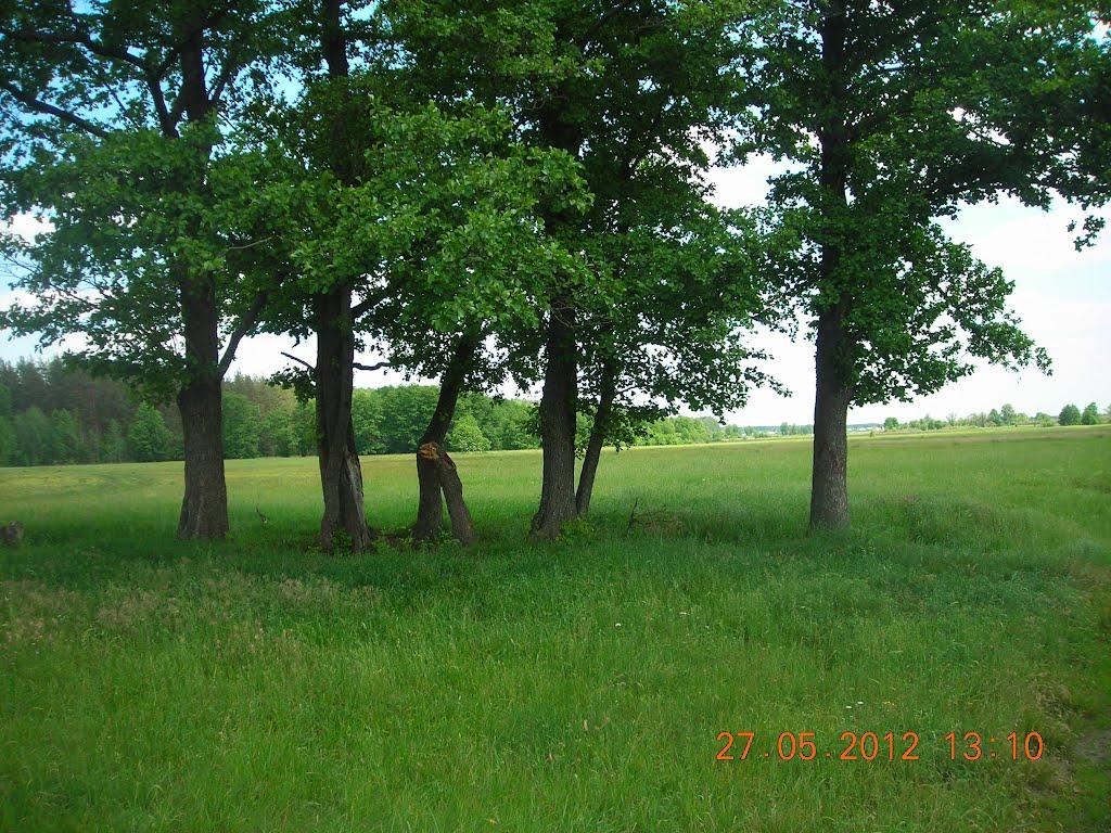 Рокитне з panoramio.com - Рокитне