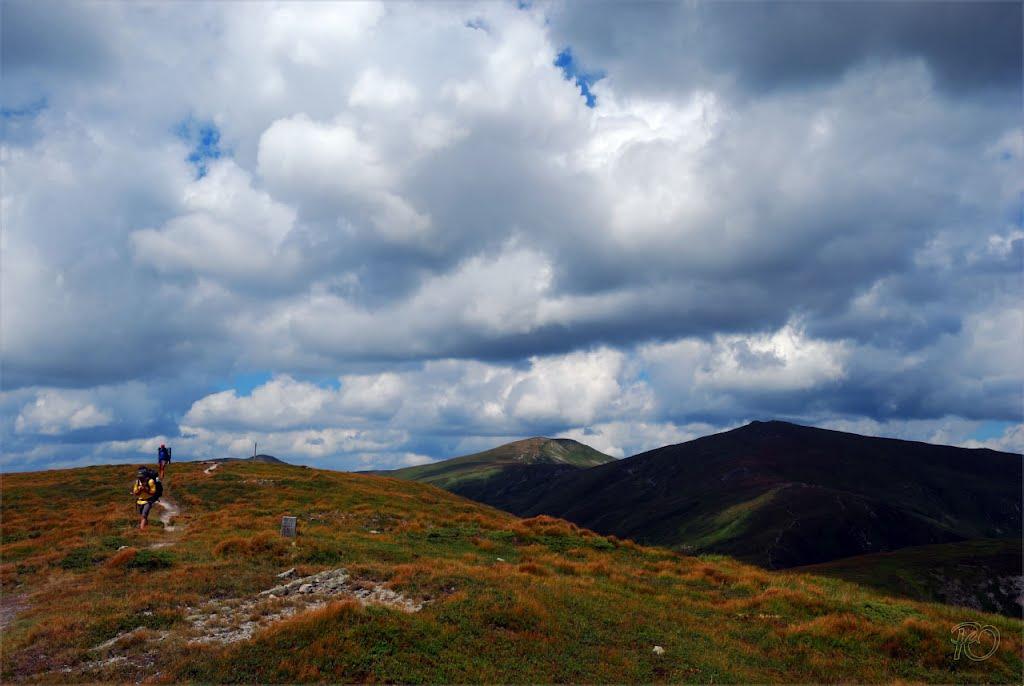 Берестечко з panoramio.com (ч.2) - Berestechko