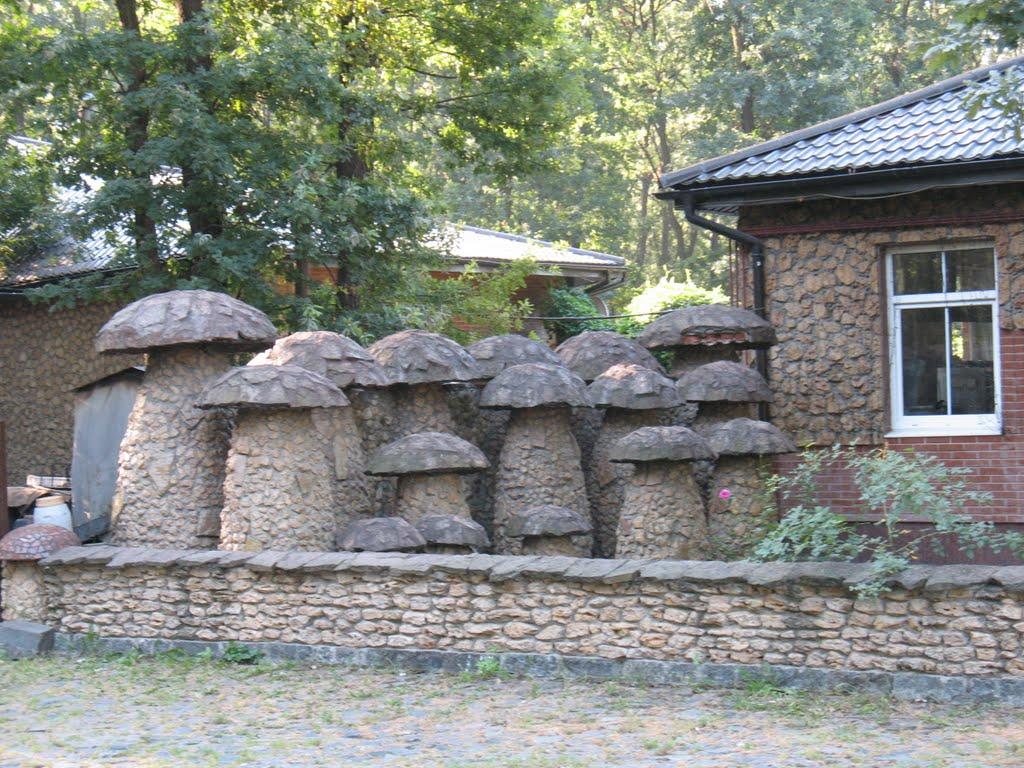 Жашків з panoramio.com - Жашков