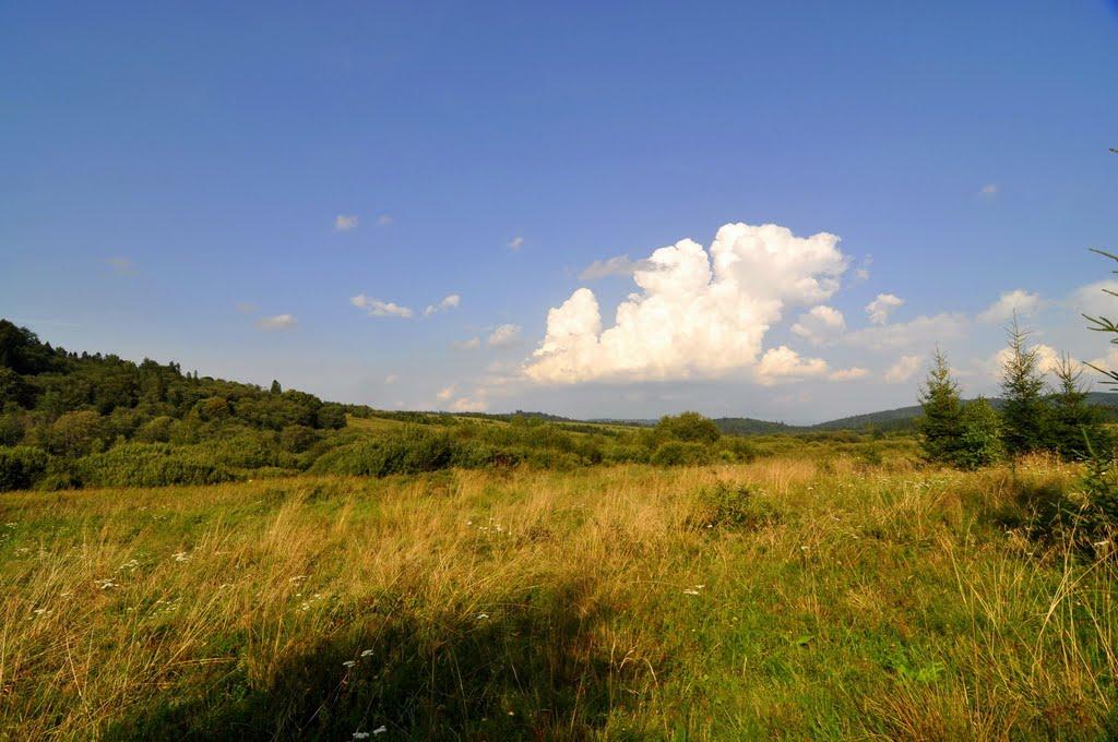 Біньова з panoramio.com - Біньова