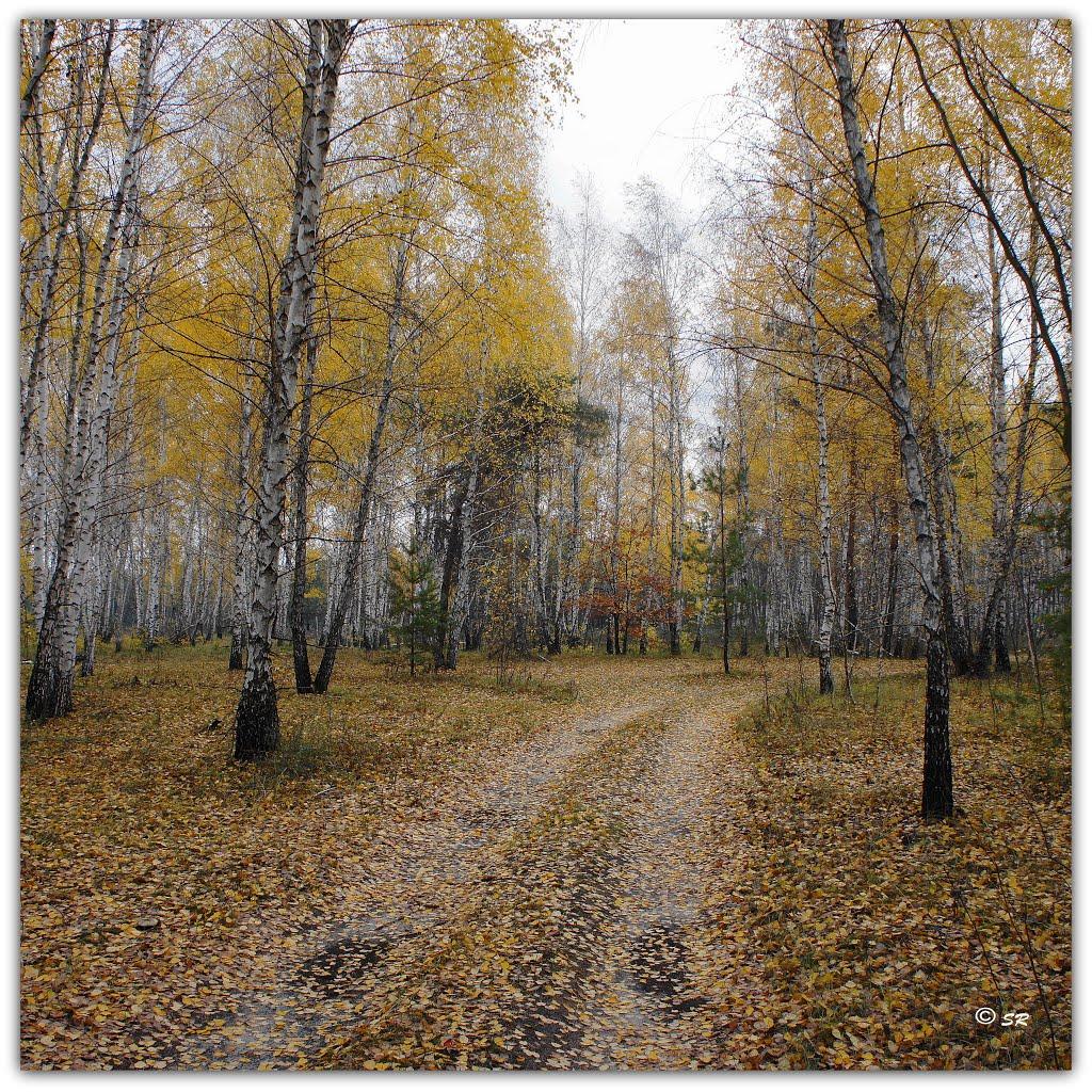 Пологи-Низ з panoramio.com - Пологи-Низ