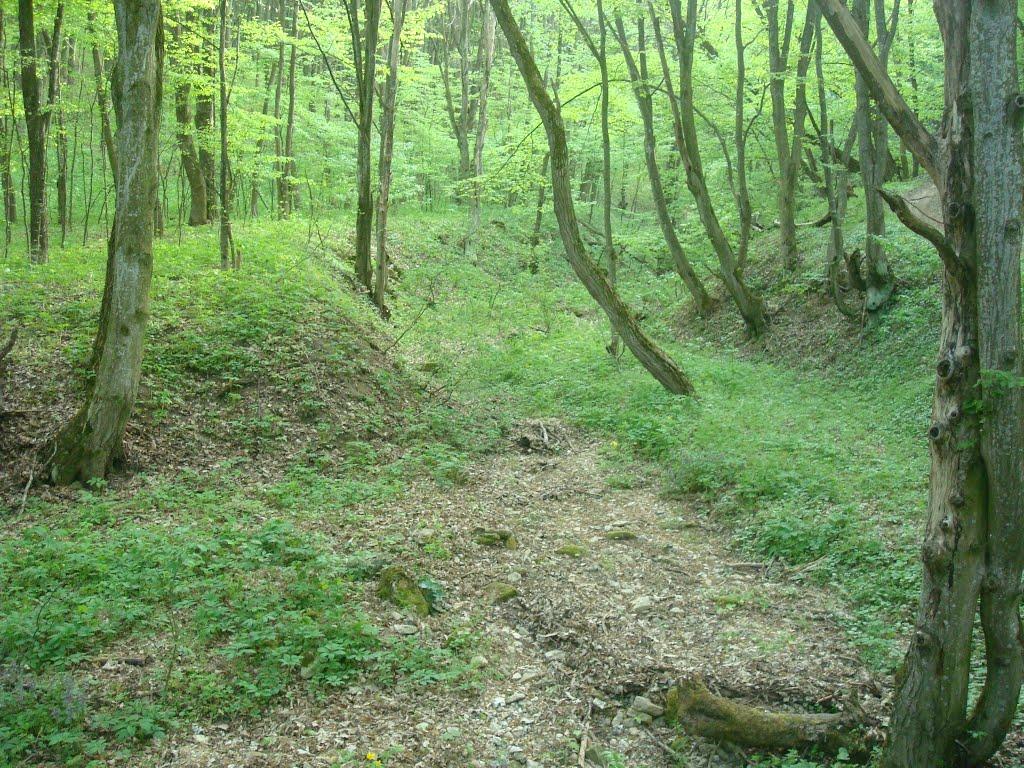 Нова Гута з panoramio.com - Нова Гута