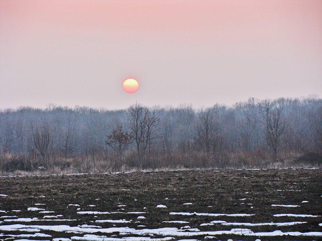 Олексіївка з panoramio.com - Алексеевка