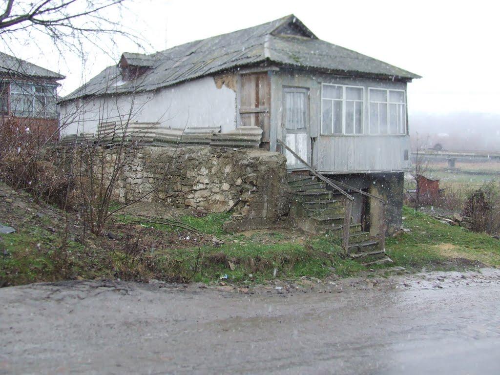 Мазурівка з panoramio.com - Мазурівка