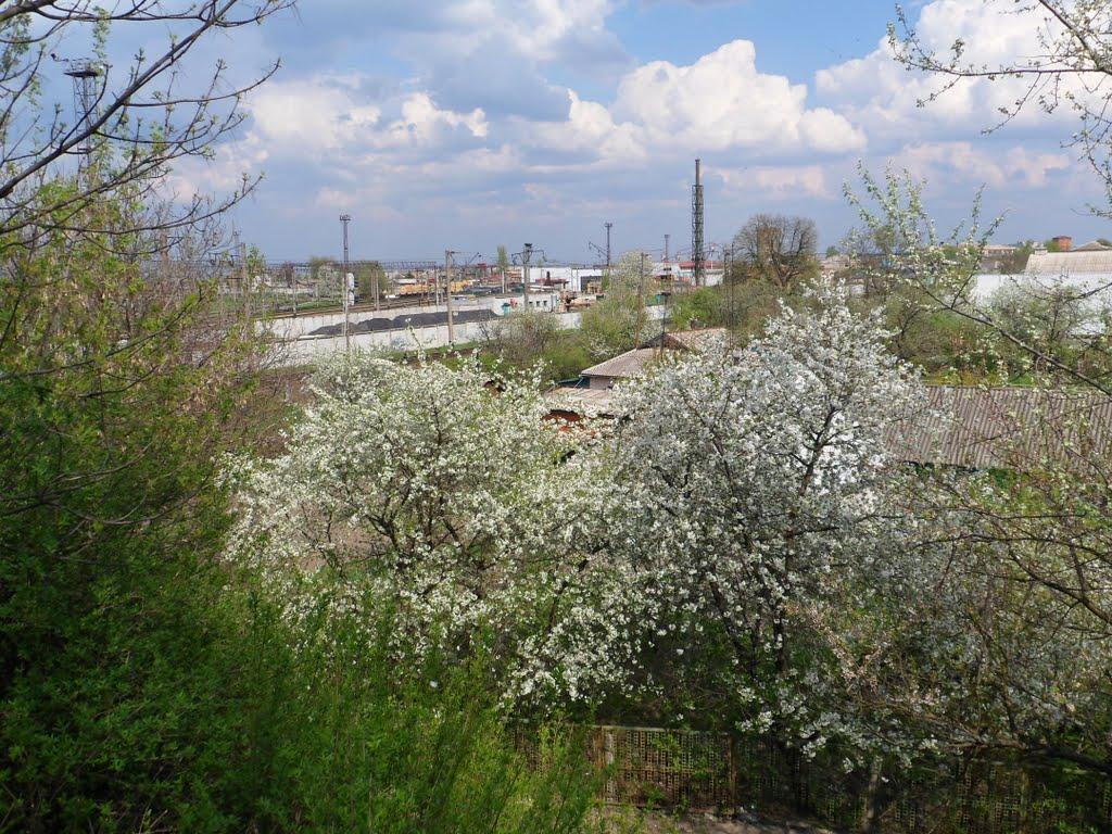 Жмеринка з panoramio.com - Жмеринка