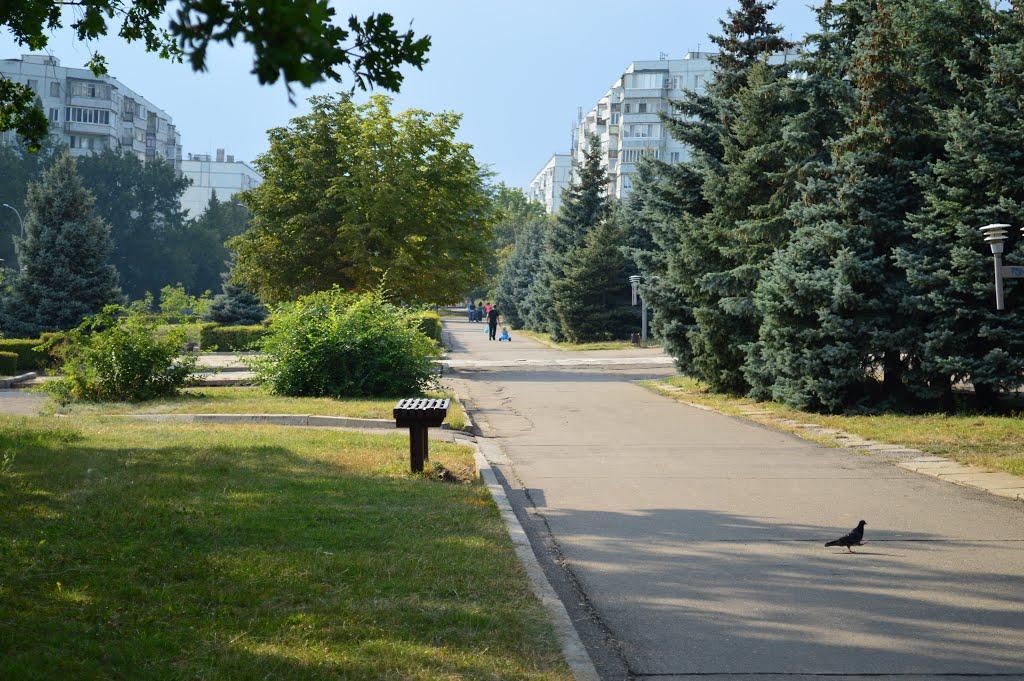 Южноукраїнськ з panoramio.com - Yuzhnoukrayinsk