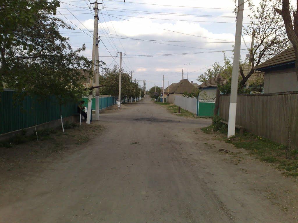 Орлівка з panoramio.com - Орловка